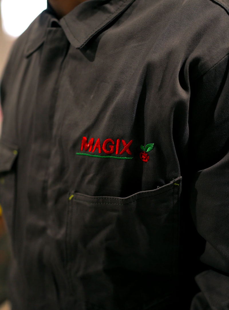 La storia di Magix
